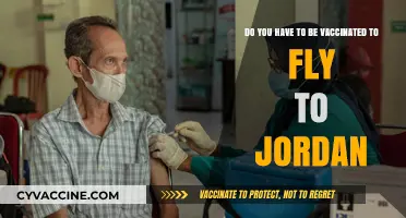 Vaccination Requirements for Flying to Jordan