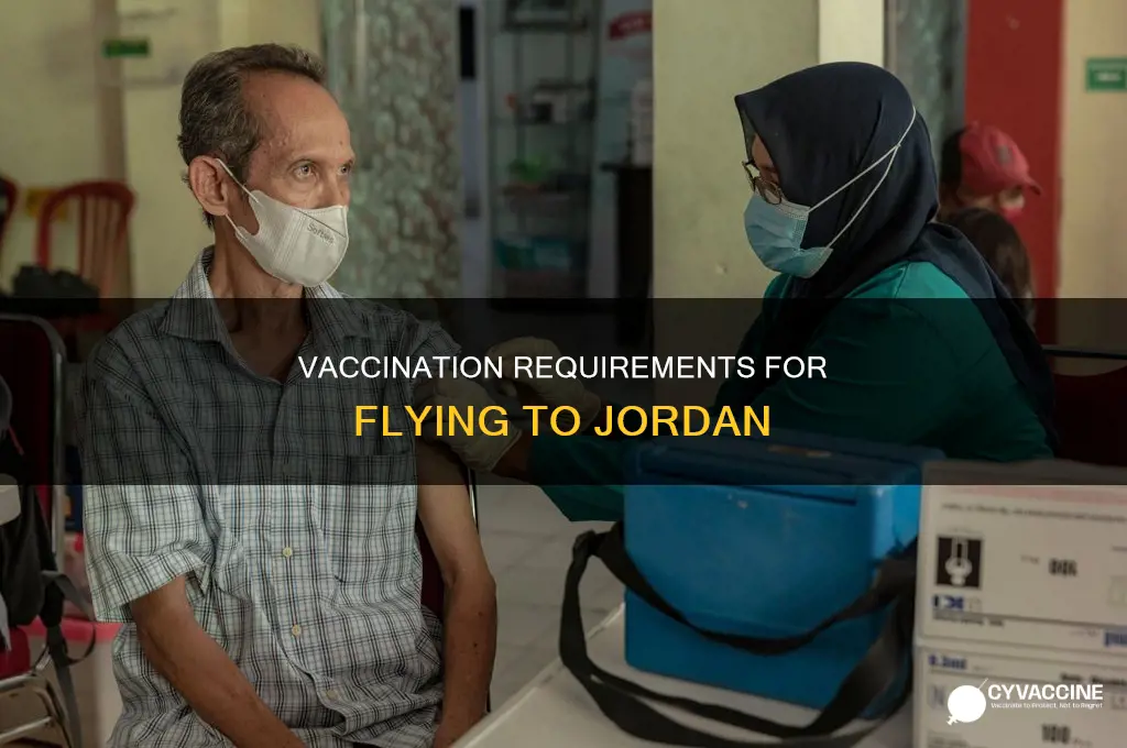 do you have to be vaccinated to fly to jordan