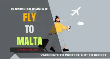 Vaccination Requirements for Flying to Malta