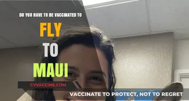 Vaccination Requirements for Flying to Maui: What You Need to Know
