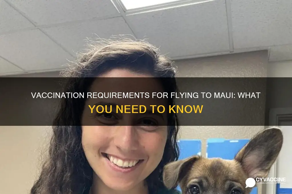 do you have to be vaccinated to fly to maui