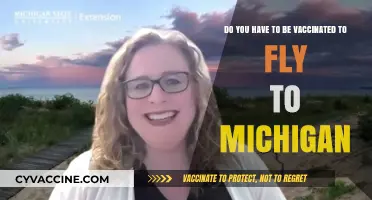 Vaccination Requirements for Flying to Michigan: What You Need to Know