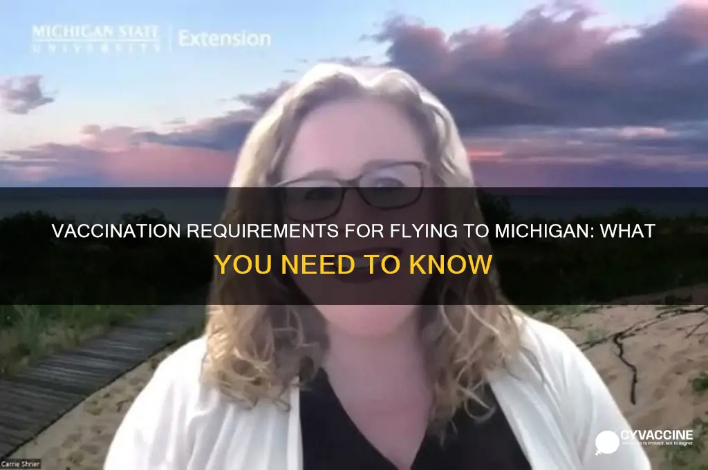 do you have to be vaccinated to fly to michigan