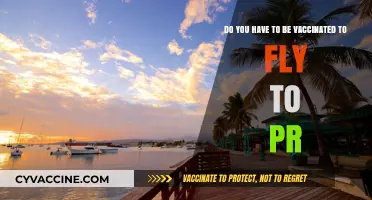 Vaccination Requirements for Travel to Puerto Rico