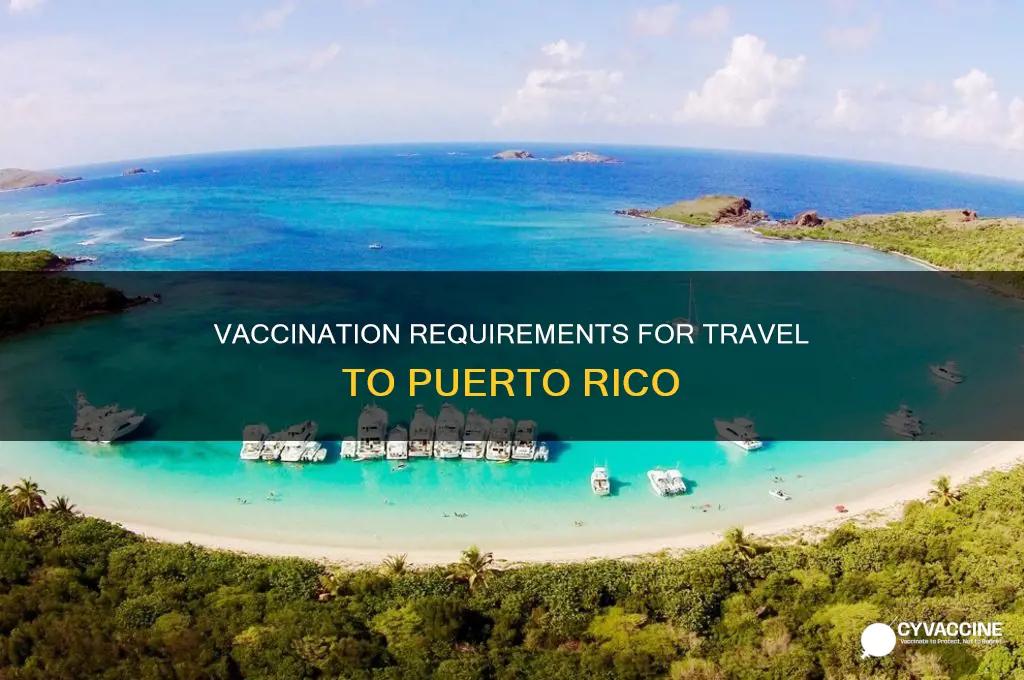 do you have to be vaccinated to fly to pr