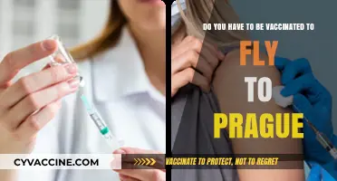 Traveling to Prague: Are Vaccinations Required for Entry?