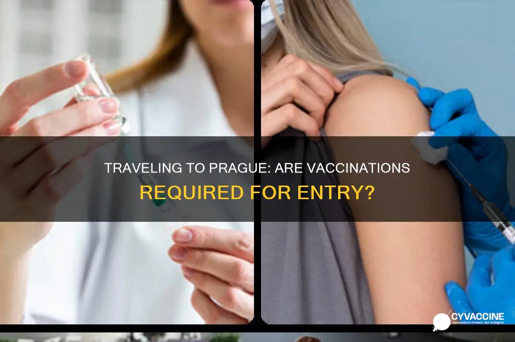 do you have to be vaccinated to fly to prague