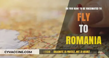 Vaccination Requirements for Flying to Romania