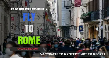 Traveling to Rome: Vaccine Requirements for Entry