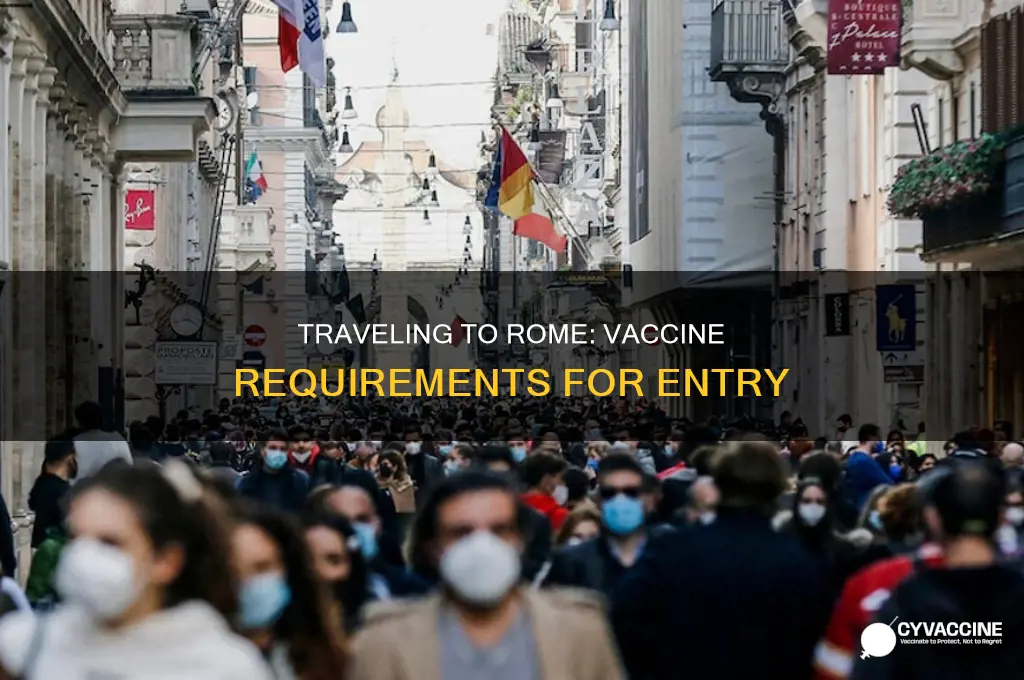 do you have to be vaccinated to fly to rome