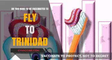 Traveling to Trinidad? Vaccination Requirements for Entry