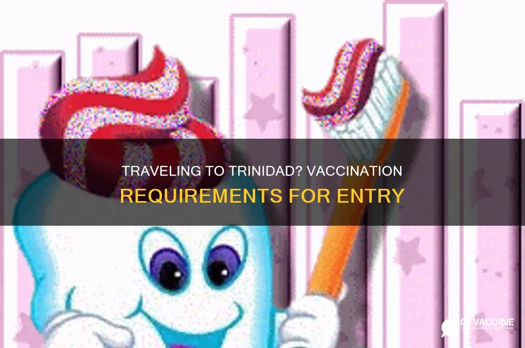 do you have to be vaccinated to fly to trinidad