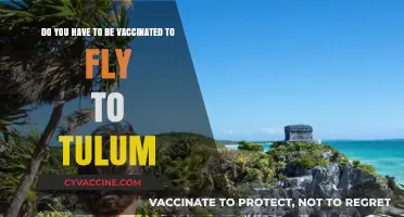 Traveling to Tulum? Vaccine Requirements for Entry