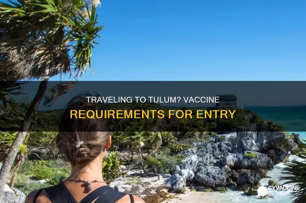 do you have to be vaccinated to fly to tulum