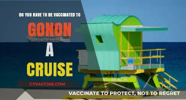 Cruise Vaccination Requirements: What You Need to Know
