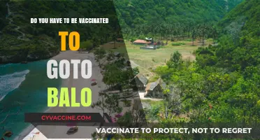 Traveling to Balo? Vaccination Requirements You Need to Know