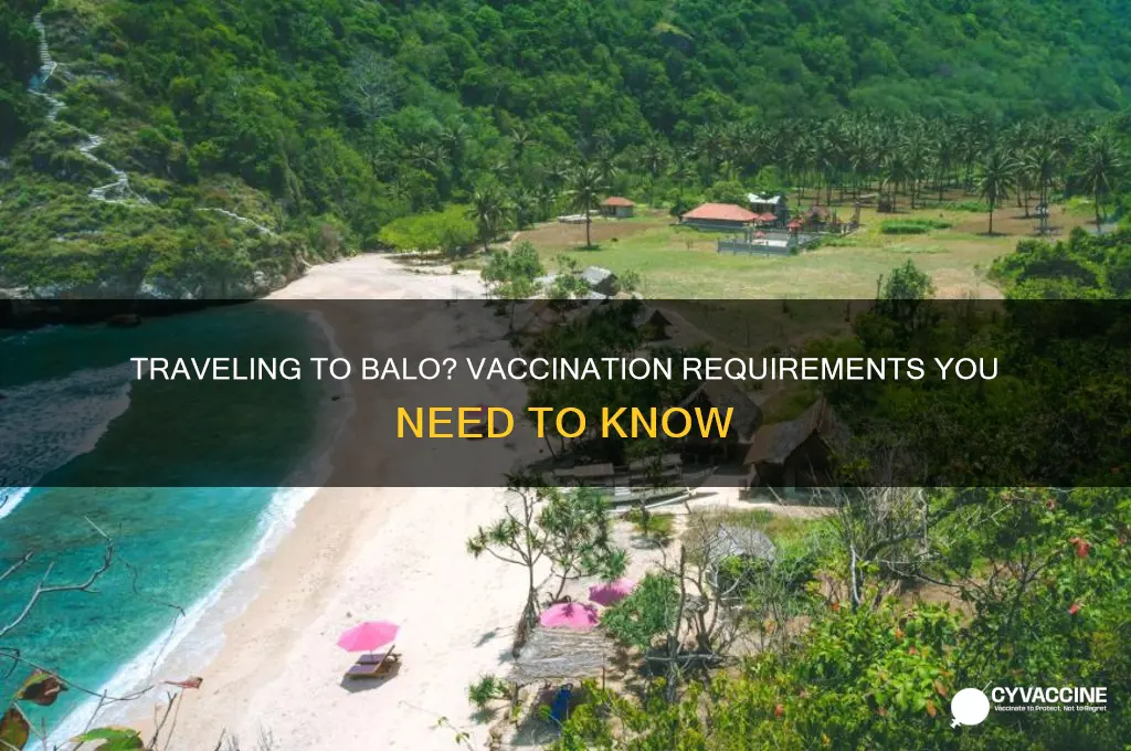 do you have to be vaccinated to goto balo