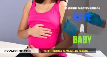 Pregnancy and Vaccination: What's the Connection?