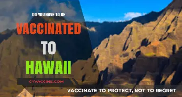 Hawaii Travel: Vaccine Requirements and Rules