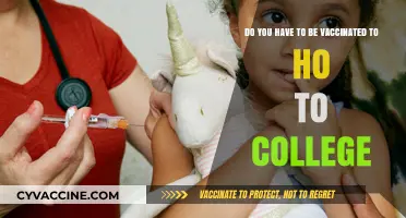 College Vaccination Requirements: What Students Need to Know