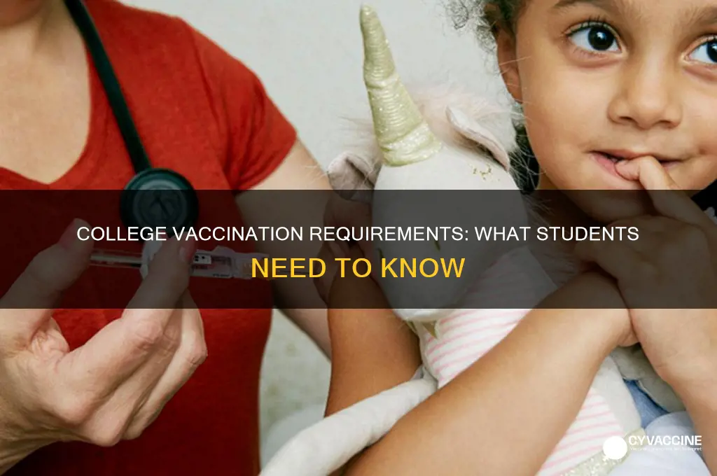 do you have to be vaccinated to ho to college