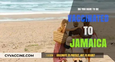 Traveling to Jamaica? Vaccination Requirements You Need to Know