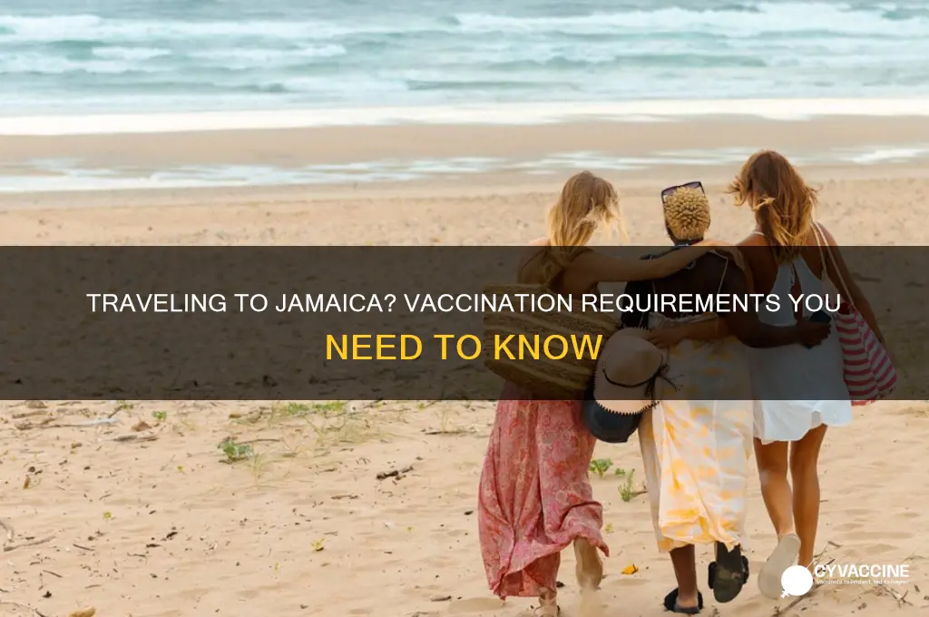 do you have to be vaccinated to jamaica