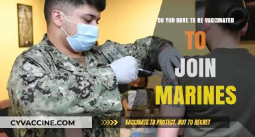 Vaccination Requirements for Aspiring Marine Recruits