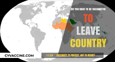 Traveling Abroad? Vaccination Requirements You Need to Know