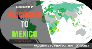 Traveling to Mexico? Vaccination Requirements Explained