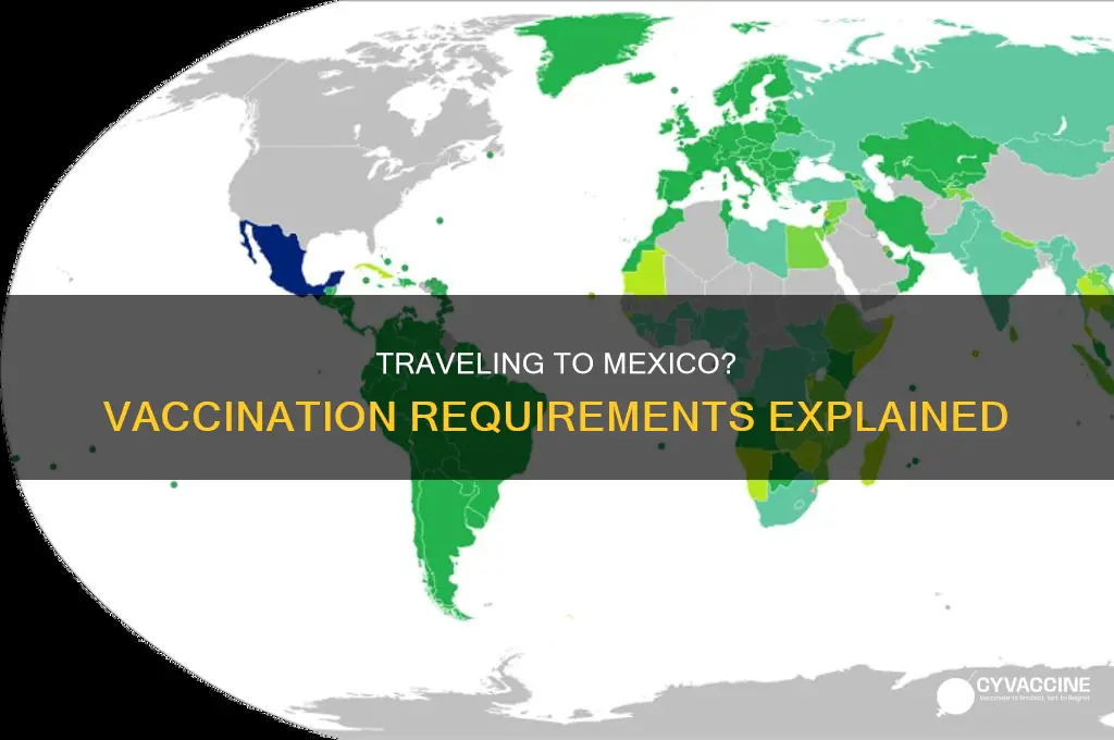 do you have to be vaccinated to mexico