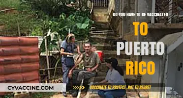 Traveling to Puerto Rico? Vaccine Requirements Explained