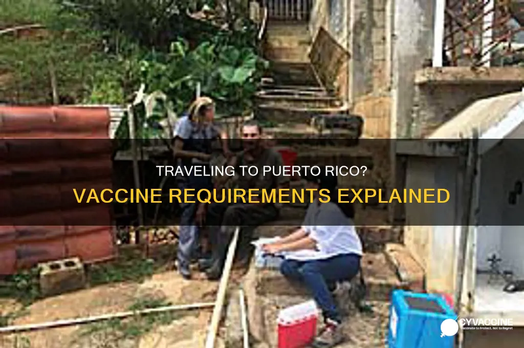do you have to be vaccinated to puerto rico