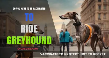 Greyhound's New Rules: Vaccinated Passengers Only?