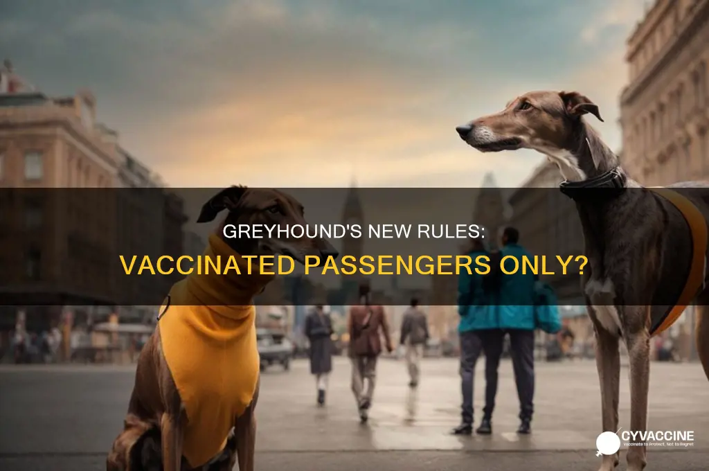 do you have to be vaccinated to ride greyhound