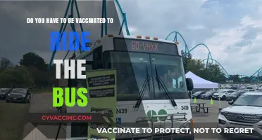 Bus Travel and Vaccination: What's the Connection?
