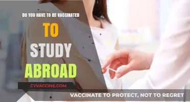 Vaccination Requirements for Studying Abroad: What You Need to Know