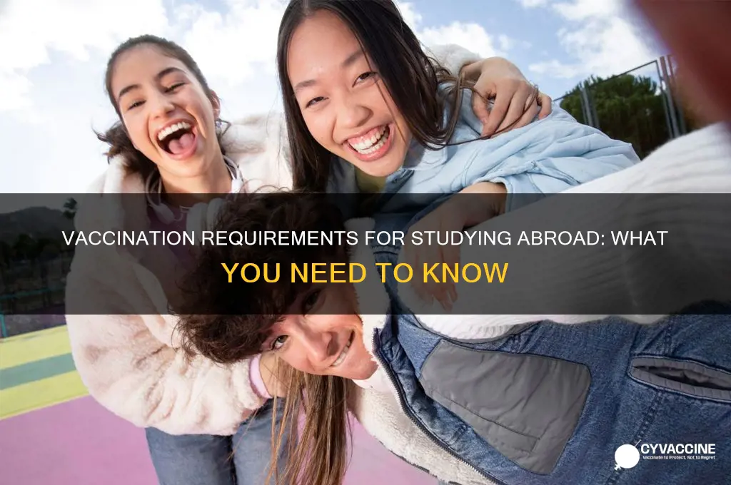 do you have to be vaccinated to study abroad