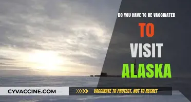 Vaccination Requirements for Visiting Alaska Explained