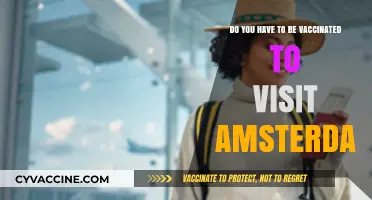 Amsterdam's Vaccination Rules: What Travelers Need to Know