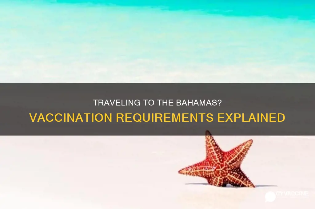 do you have to be vaccinated to visit bahamas