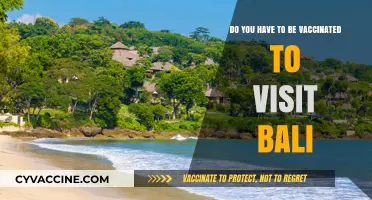 Vaccination Requirements for Visiting Bali: What You Need to Know