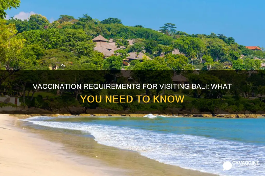 do you have to be vaccinated to visit bali