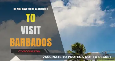 Barbados' Vaccination Requirements for Visitors