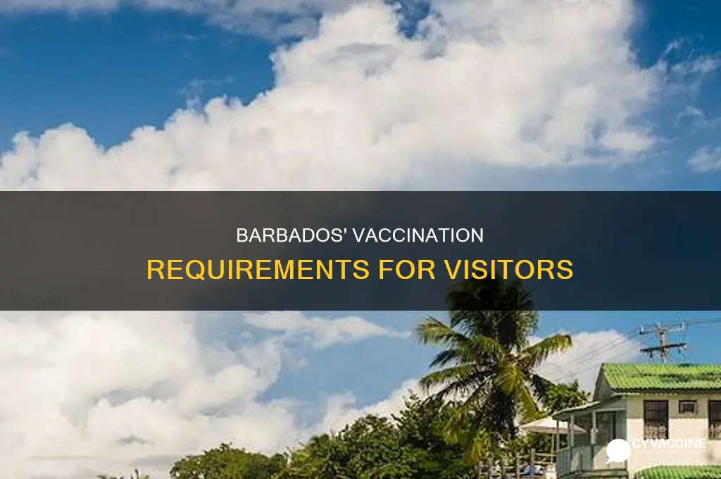 do you have to be vaccinated to visit barbados