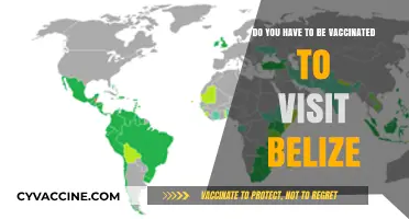 Belize's Vaccination Rules for Visitors and Citizens