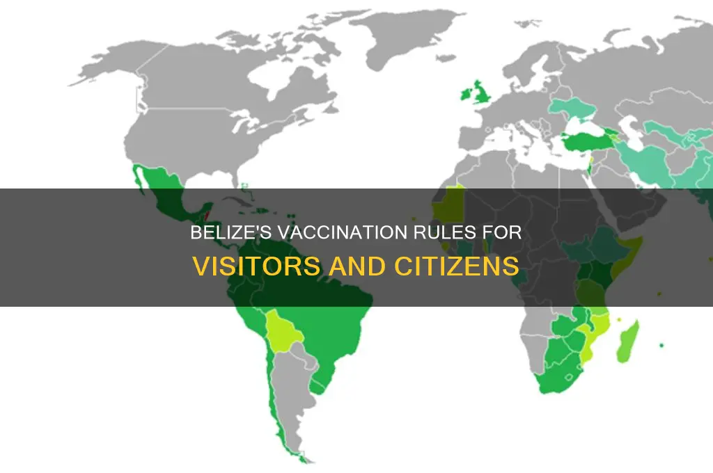 do you have to be vaccinated to visit belize