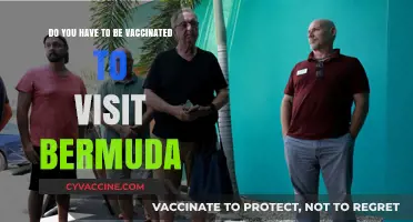 Vaccination Requirements for Visiting Bermuda