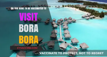 Vaccination Requirements for Your Bora Bora Vacation