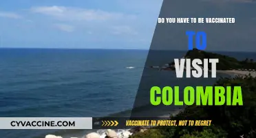 Vaccination Requirements for Visiting Colombia